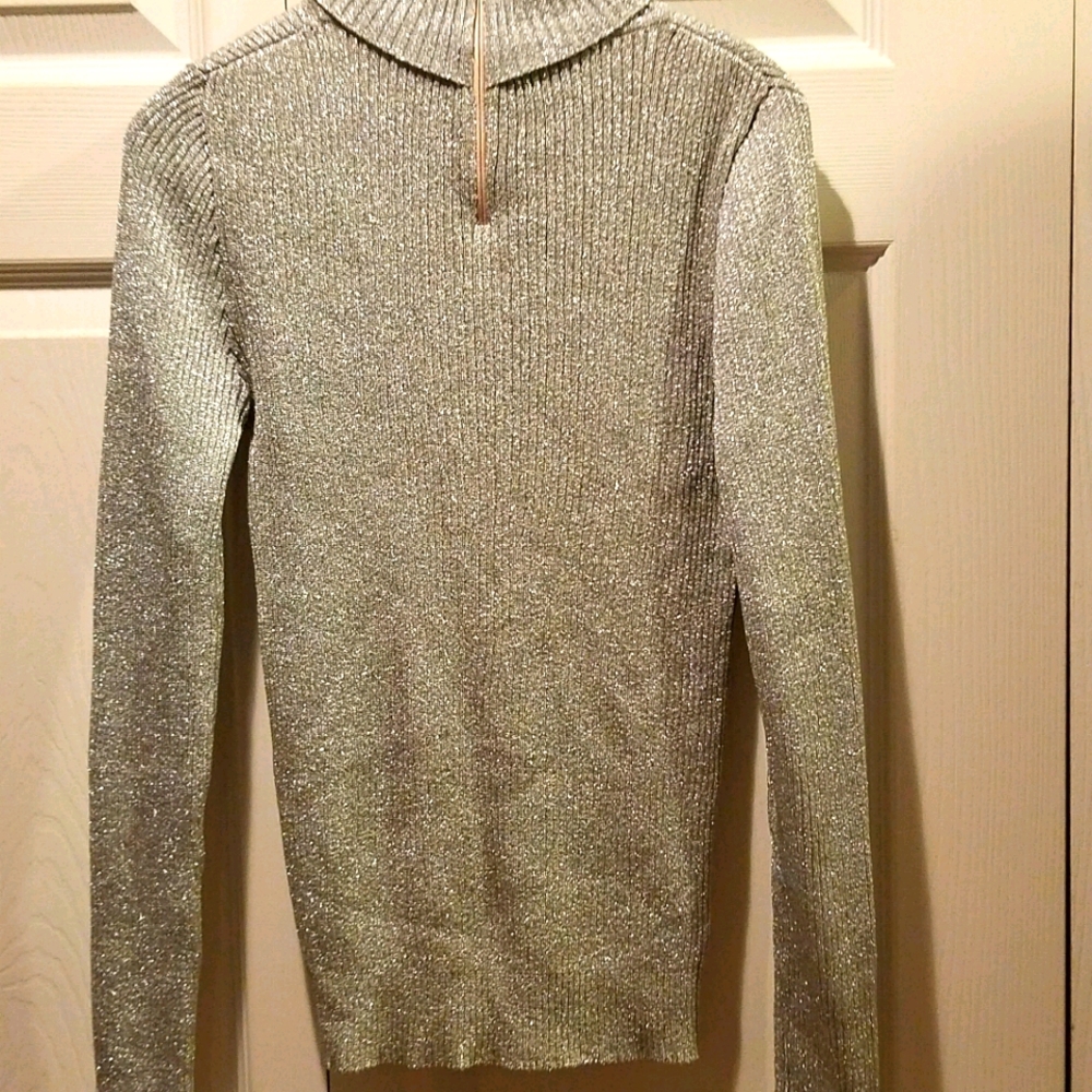 Silver turtleneck